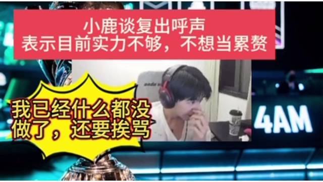 4am小鹿谈复出呼声，表示不想当累赘