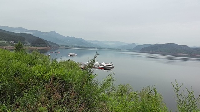 采山野菜看最美的风景