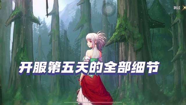 DNF手游开服第五天全部细节