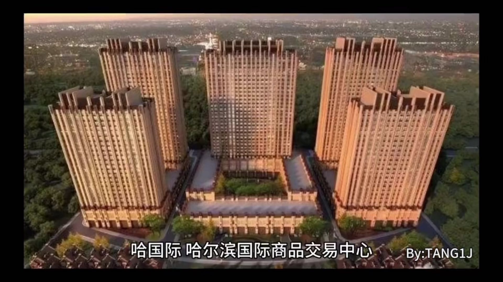 哈国际哈尔滨国际商品交易中心挂牌木耳2410
#哈国际唐志杰