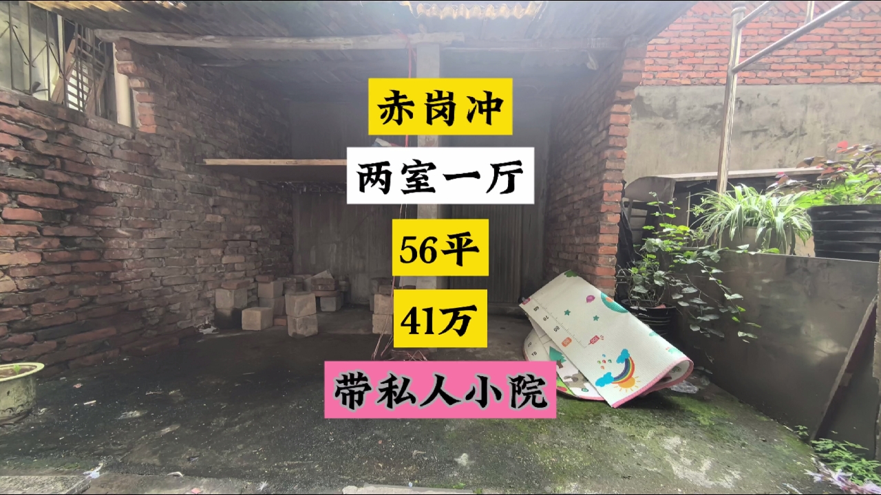 私人小院可以养花种菜还能养小动物，56平两房41万。＃长沙买房 ＃院子 ＃花园