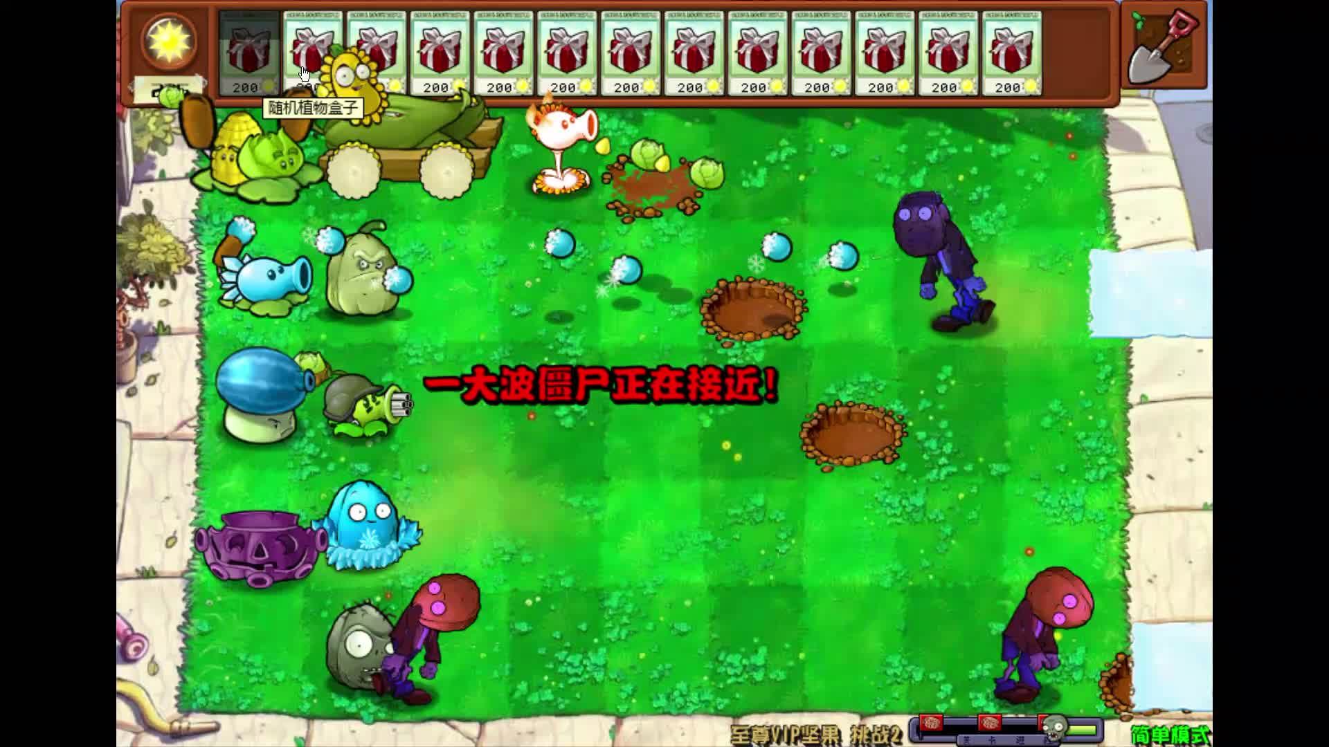 杂交杂交好杂交