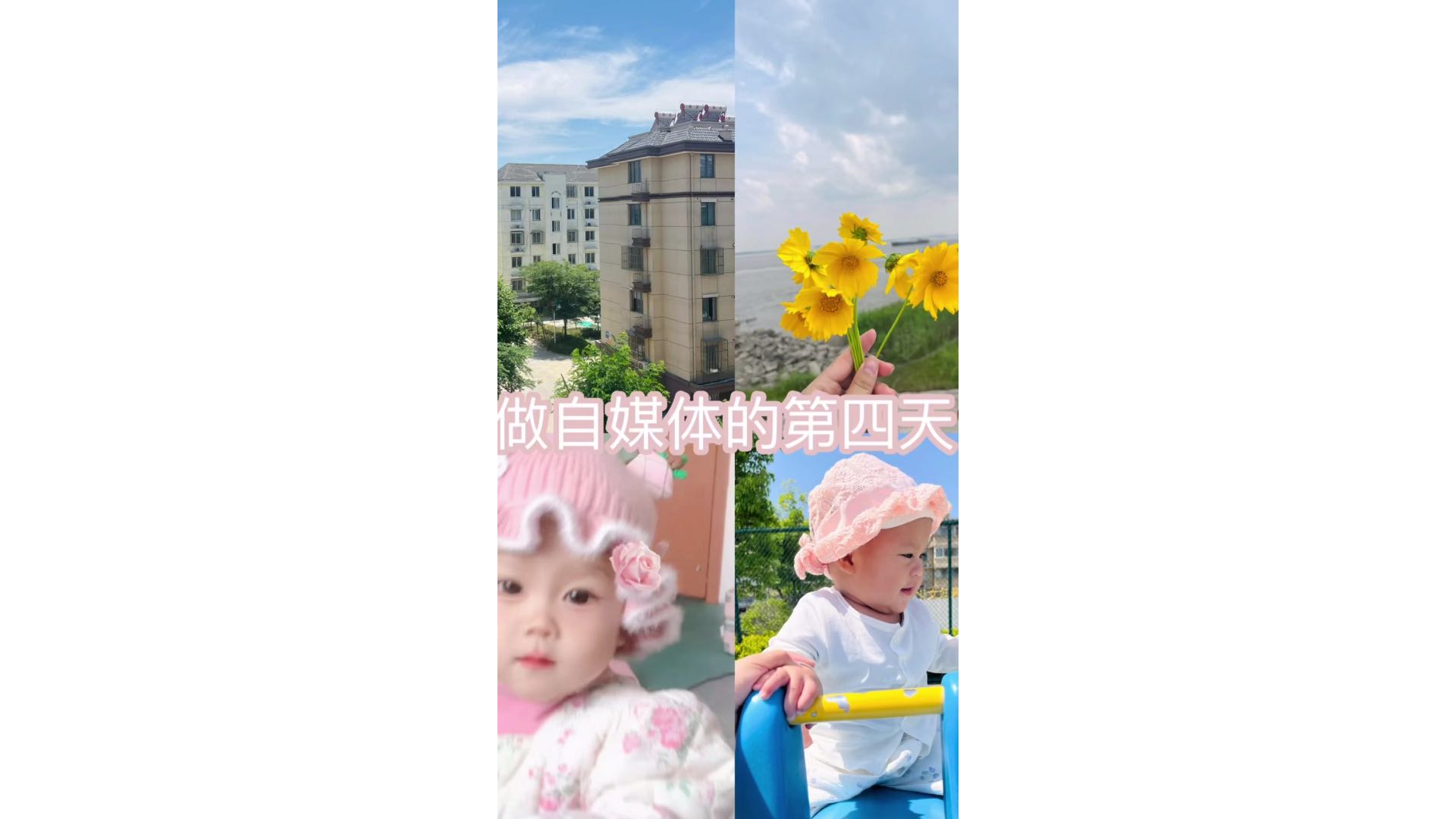 学自媒体的日常