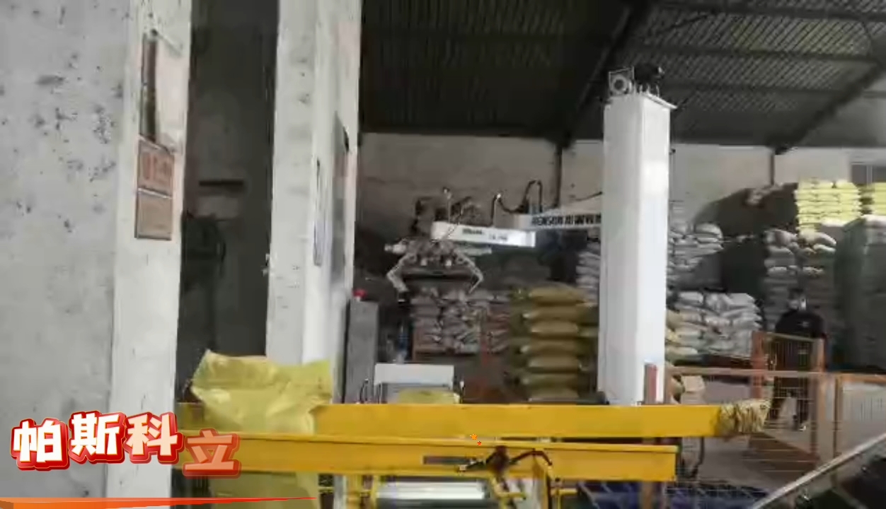 帕斯科立柱码垛机器人机械手本体供应商