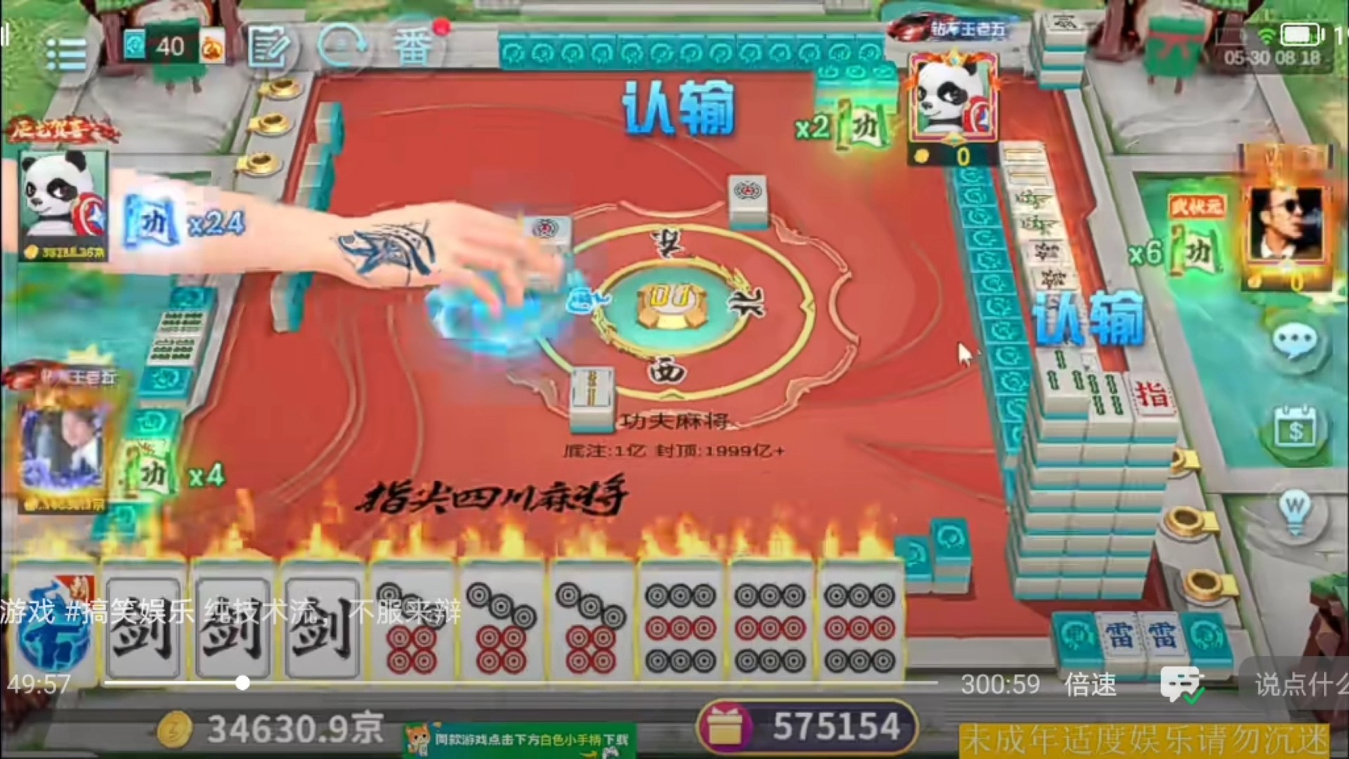 一剑开天门vs虎鹤双形拳