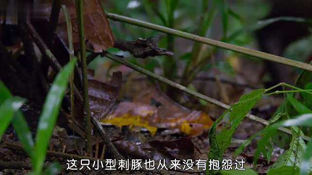這是噴射的什么液體，還很粘