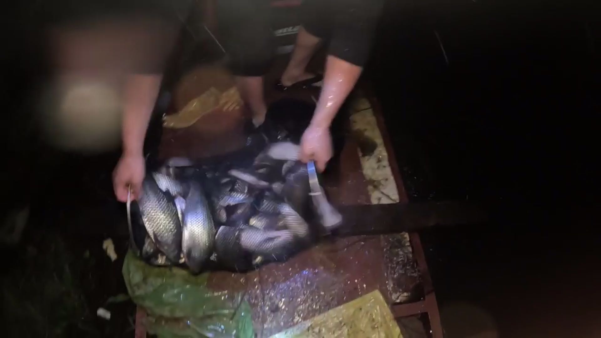 奔波百公里再战潮州水库（50加猛货哥）