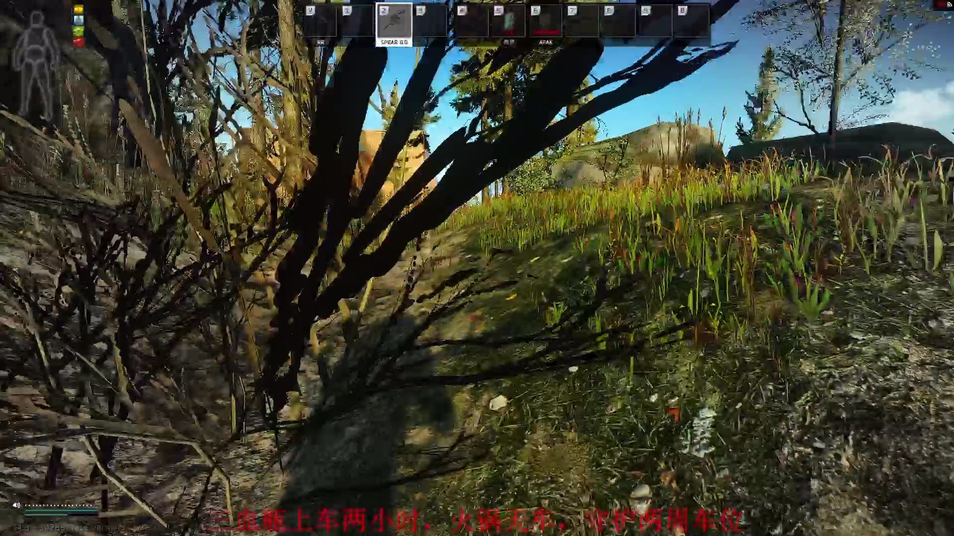 塔克夫之旅之我队友的抽象操作