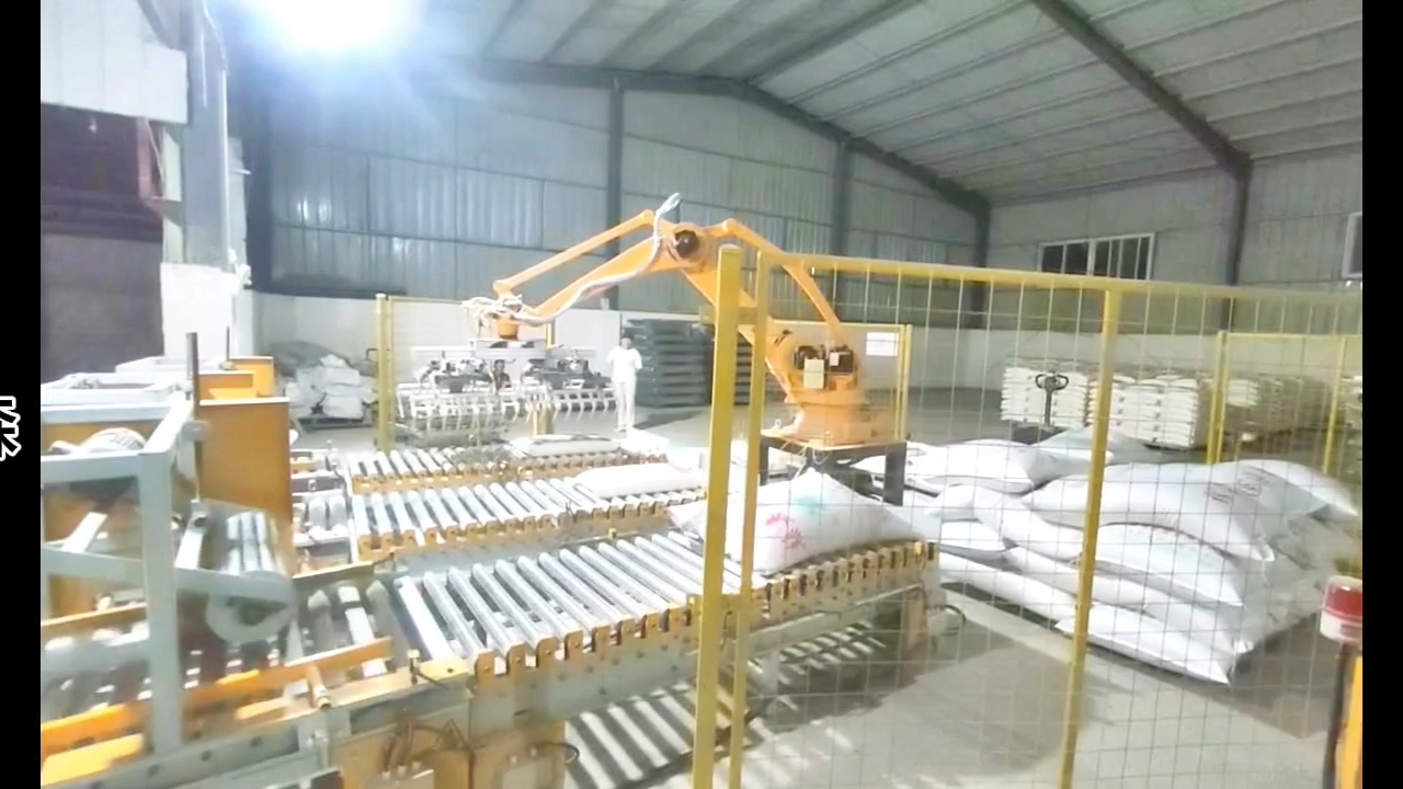 双抓三线码垛机器人泰安 山东码垛机-源头厂家-价格优惠#码垛机器人 #工业机器人 @面粉@化工