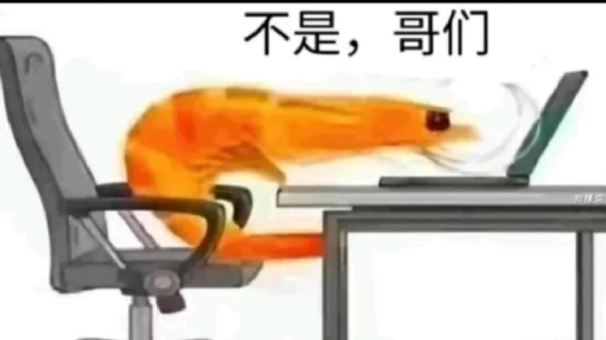 视觉、卿卿申请参赛～