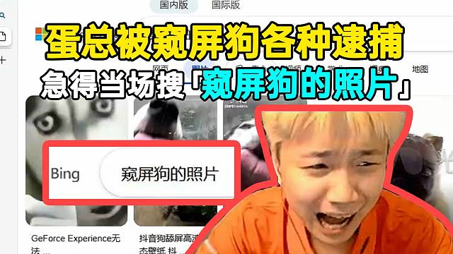 蛋總被對面窺屏狗各種逮捕，最后一把直接笑出聲，太逆天了！