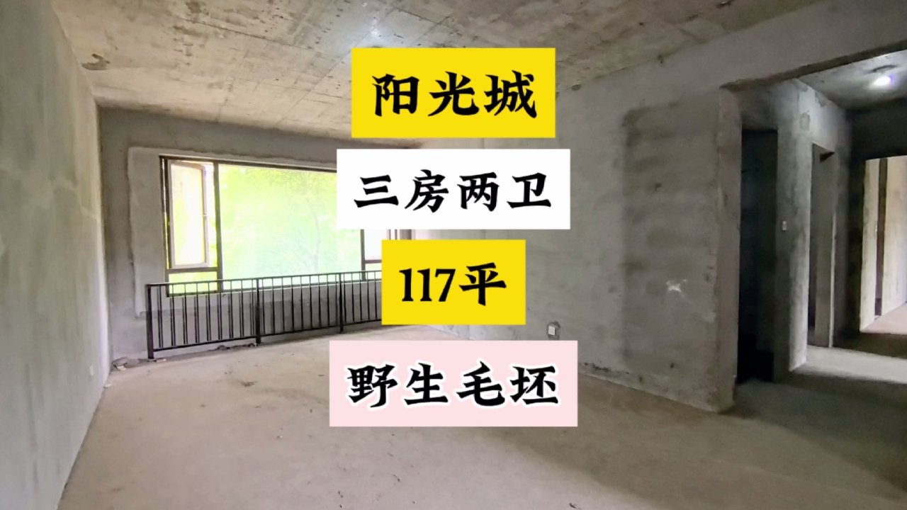 阳光城117平三房两卫95个拿下，野生纯毛坯。#长沙买房 #毛坯房