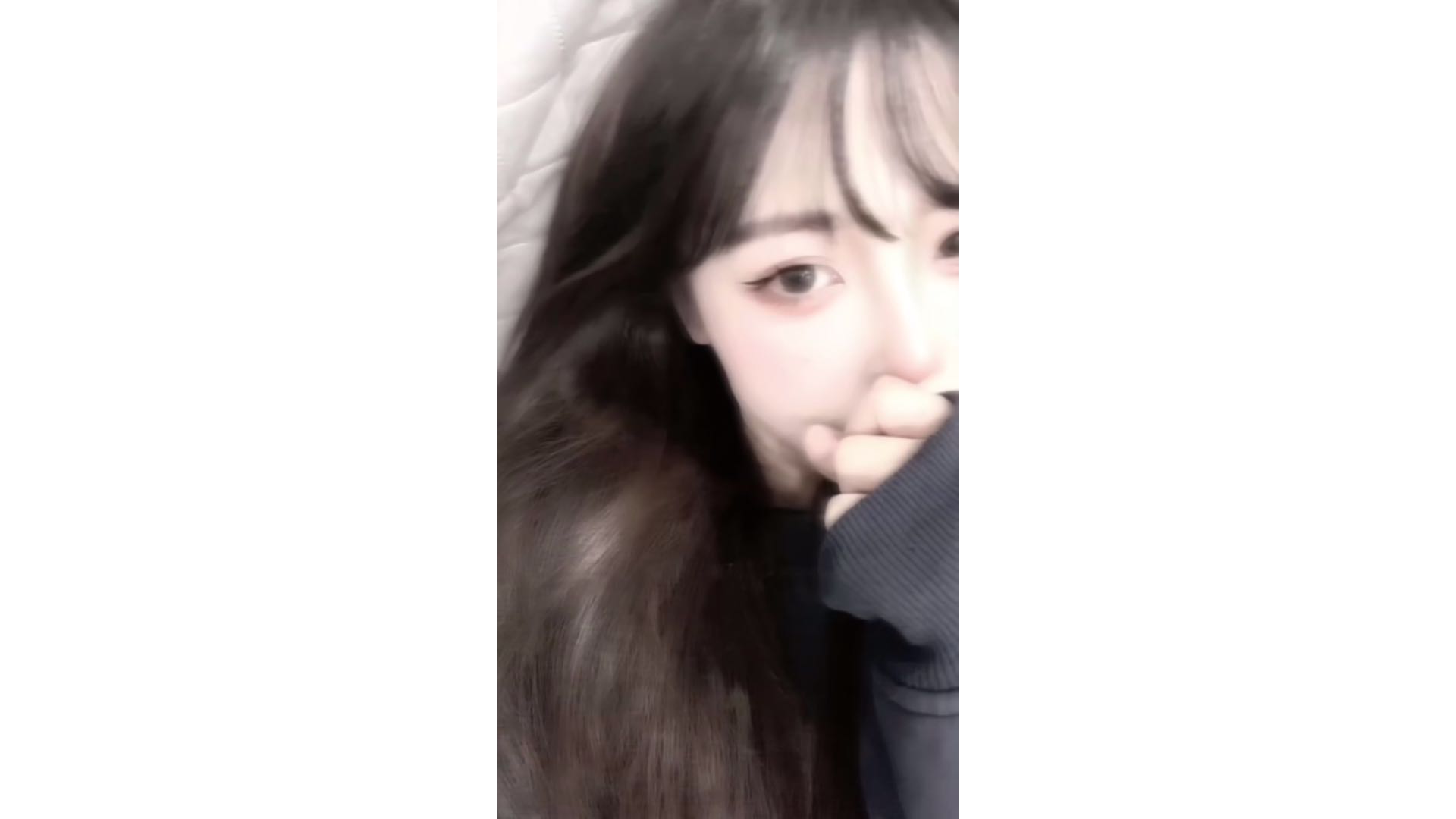 今天又对谁摇尾巴了 我的小狗