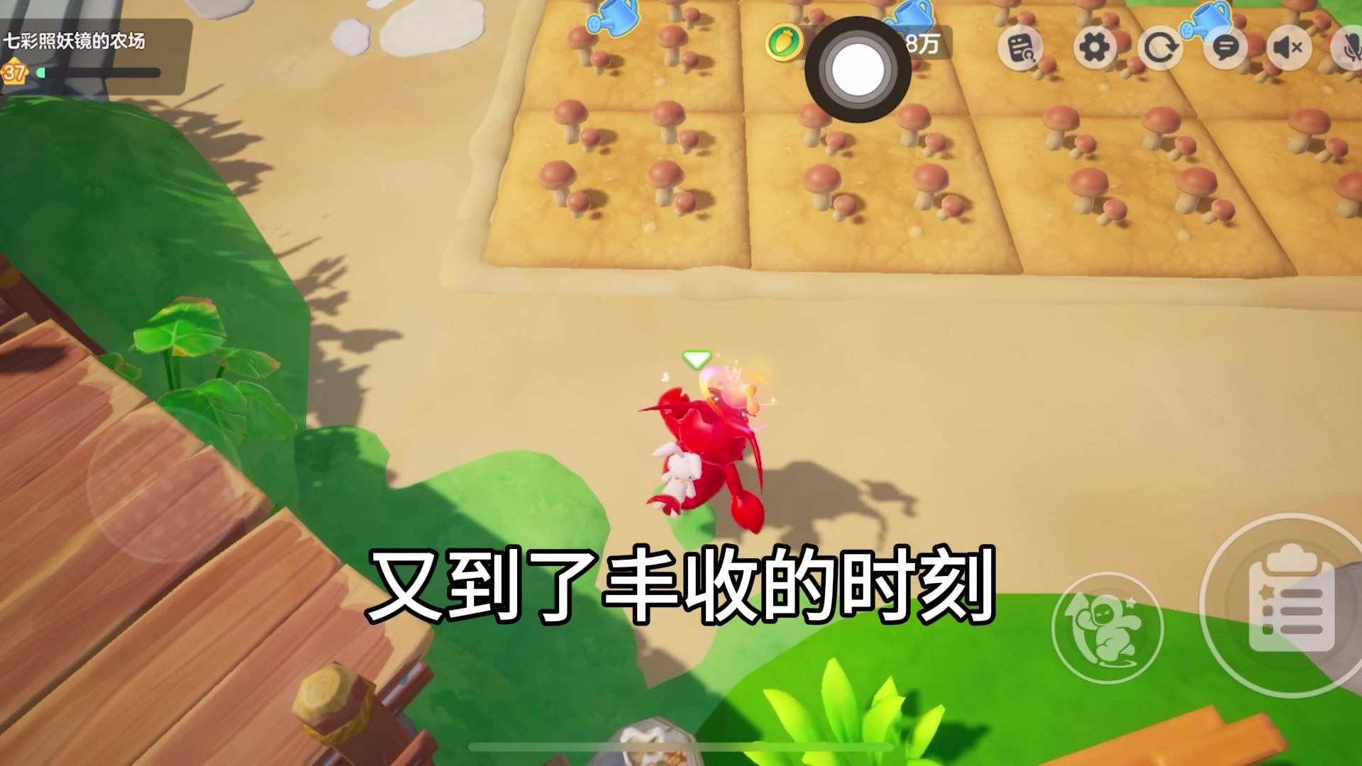 今日开蘑菇盲盒