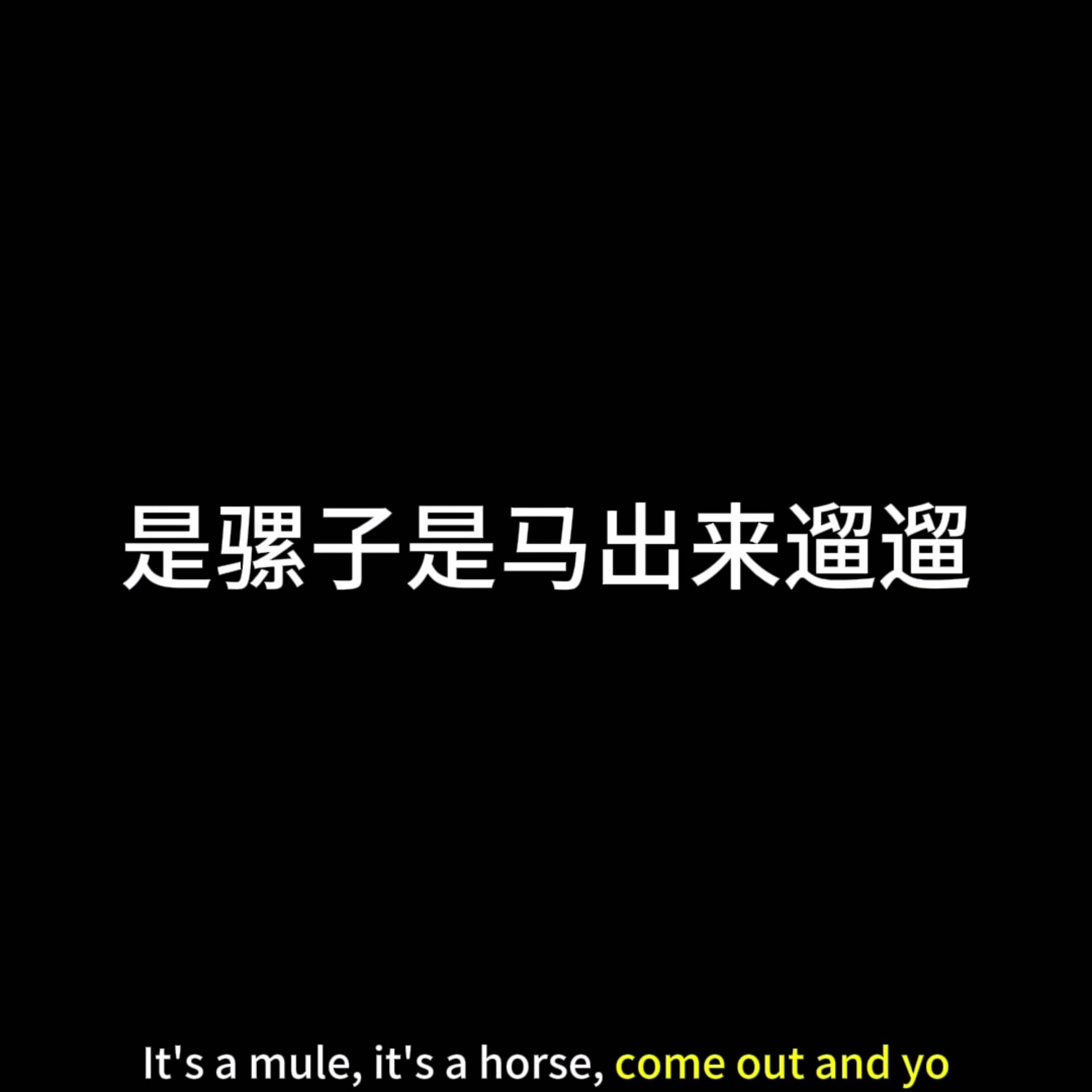 是骡子是马拉出来遛遛