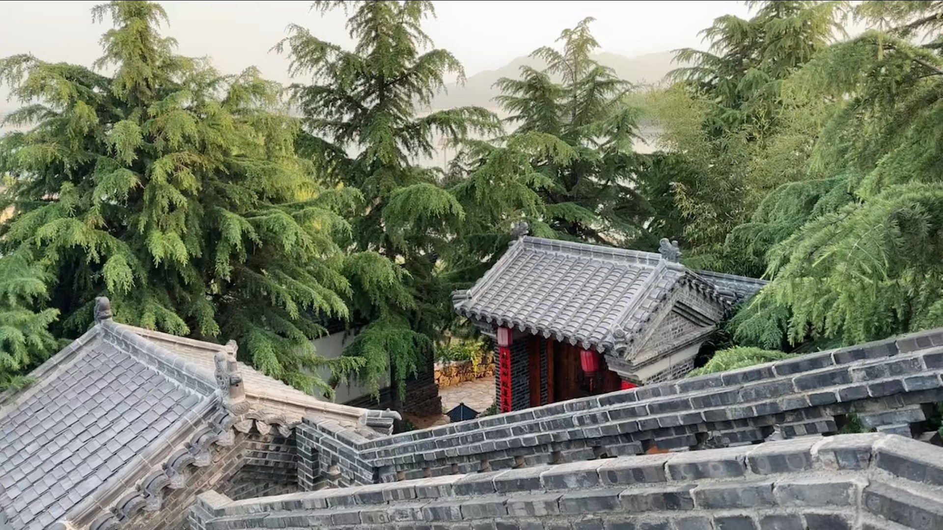 关注我不迷路我就带上你上高速