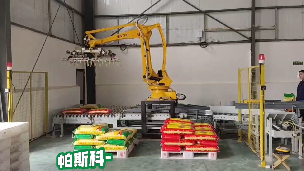 帕斯科-埃斯顿ER180-3100PL自动化叠包机厂家直销