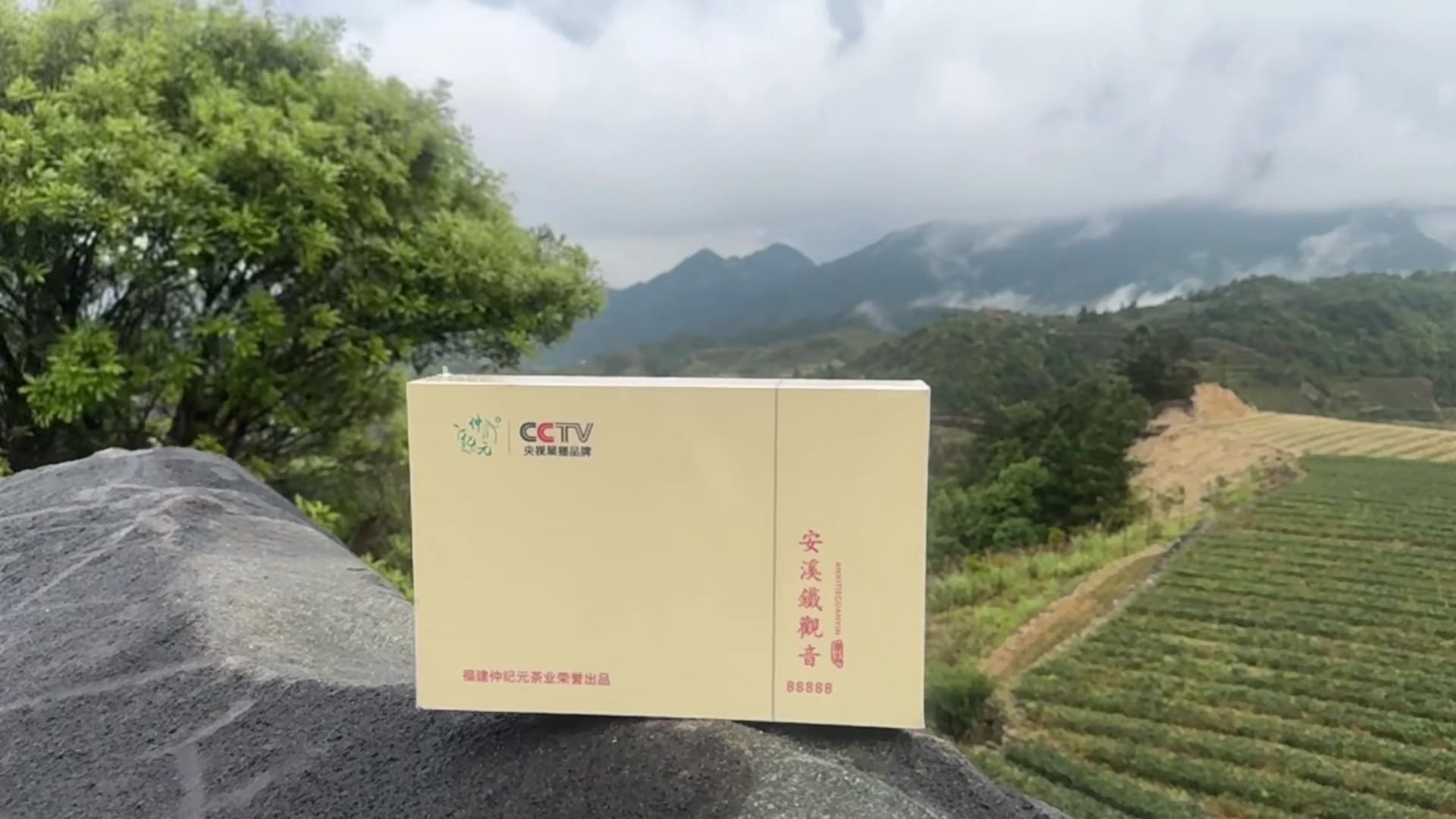 安溪，铁观音，健康软黄金。