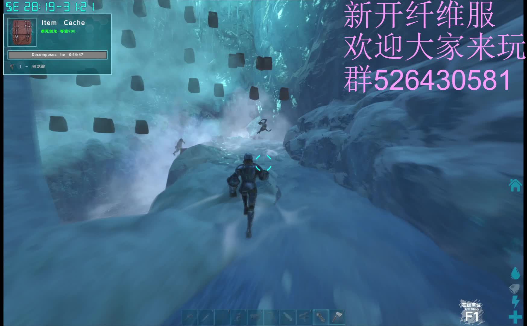 新开纤维服务器