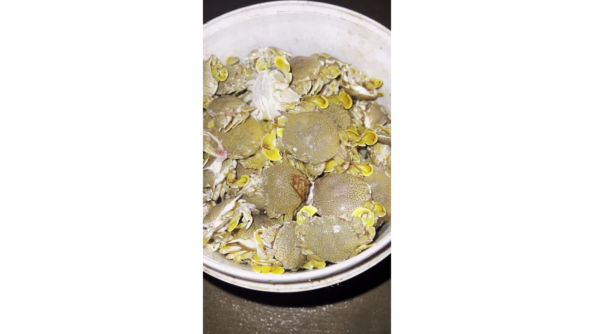 原来这样子也能抓螃蟹