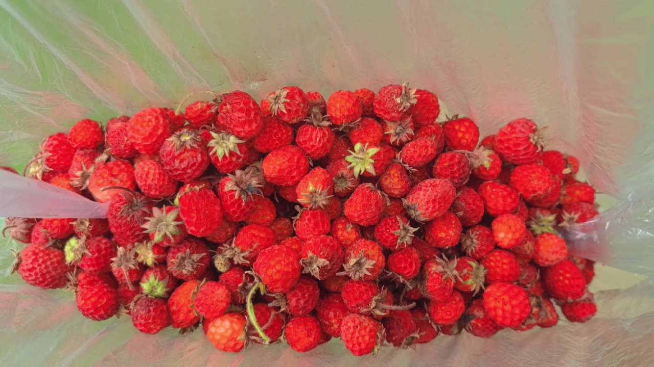 还是大山里面舒服啊