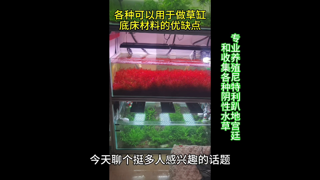 各种可以用于草缸底床材料的优缺点