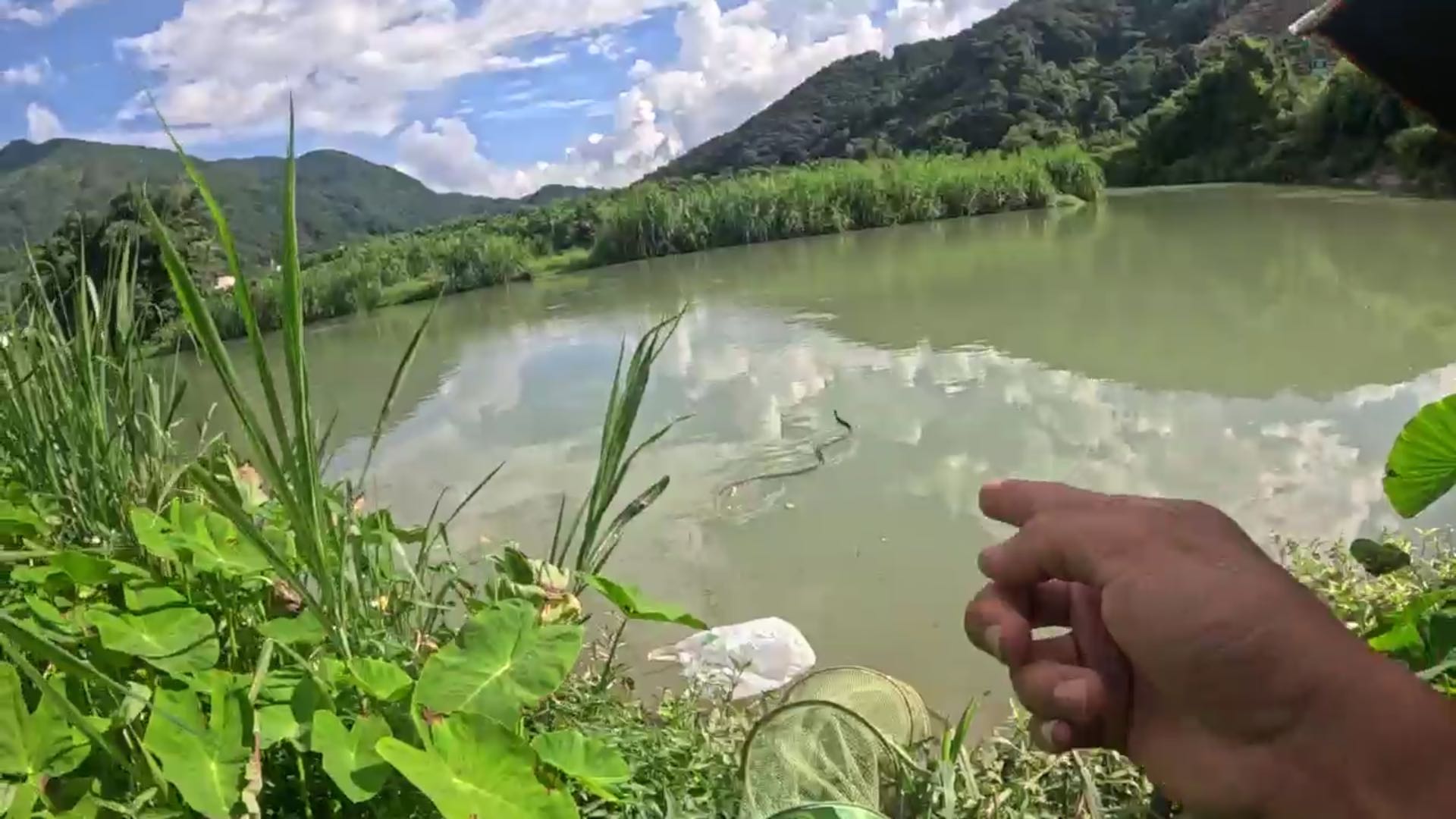 好大丶好粗丶不得了