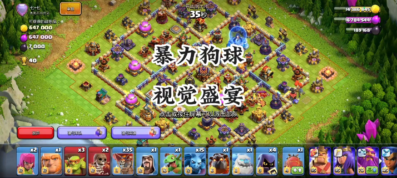 召回天女暴力狗