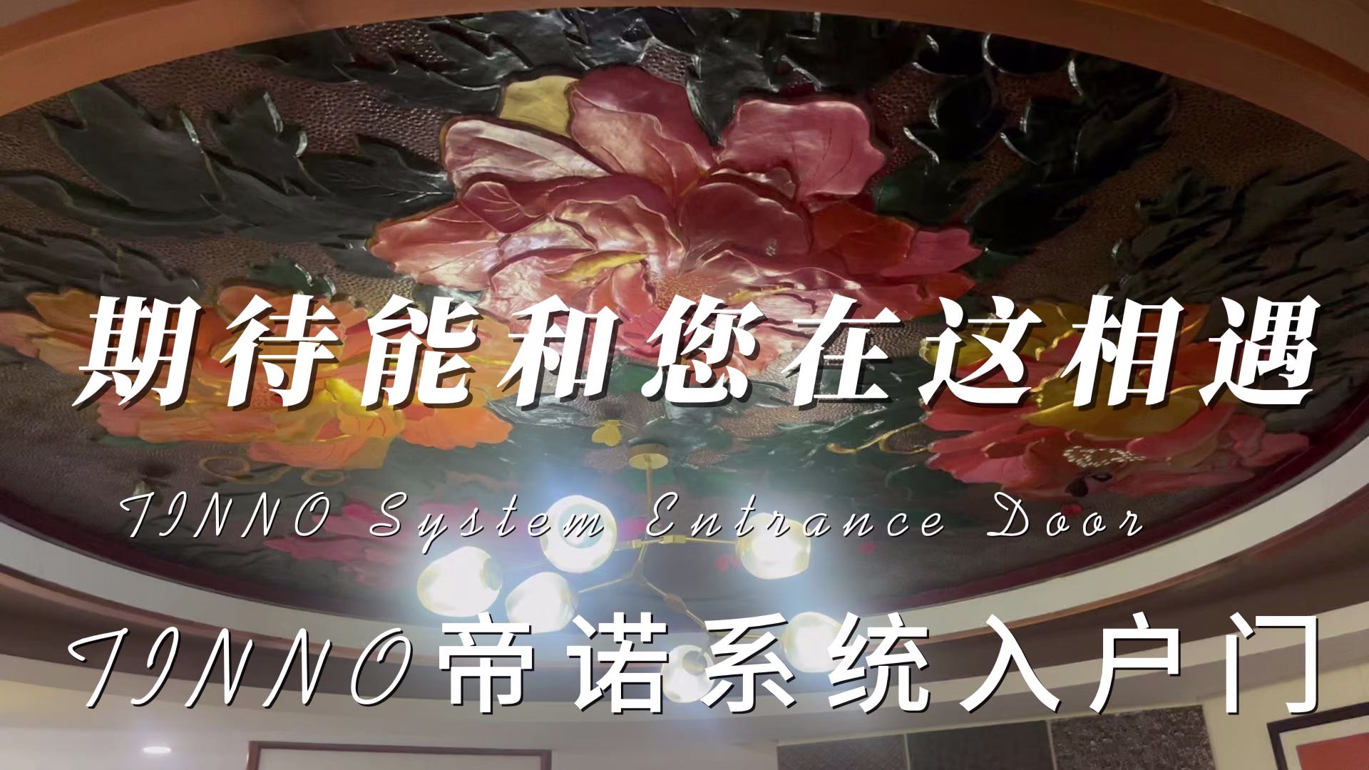 期待和您在这相遇#南京#TINNO帝诺系统入户门#系统门#装修