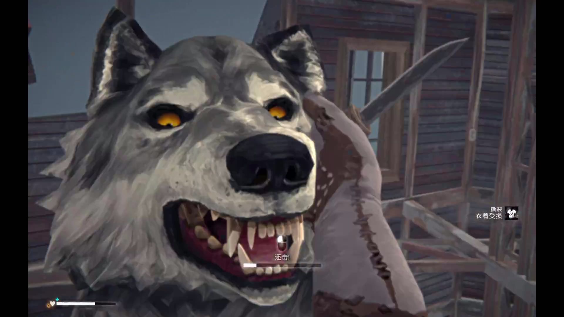 与狼战斗的那些事