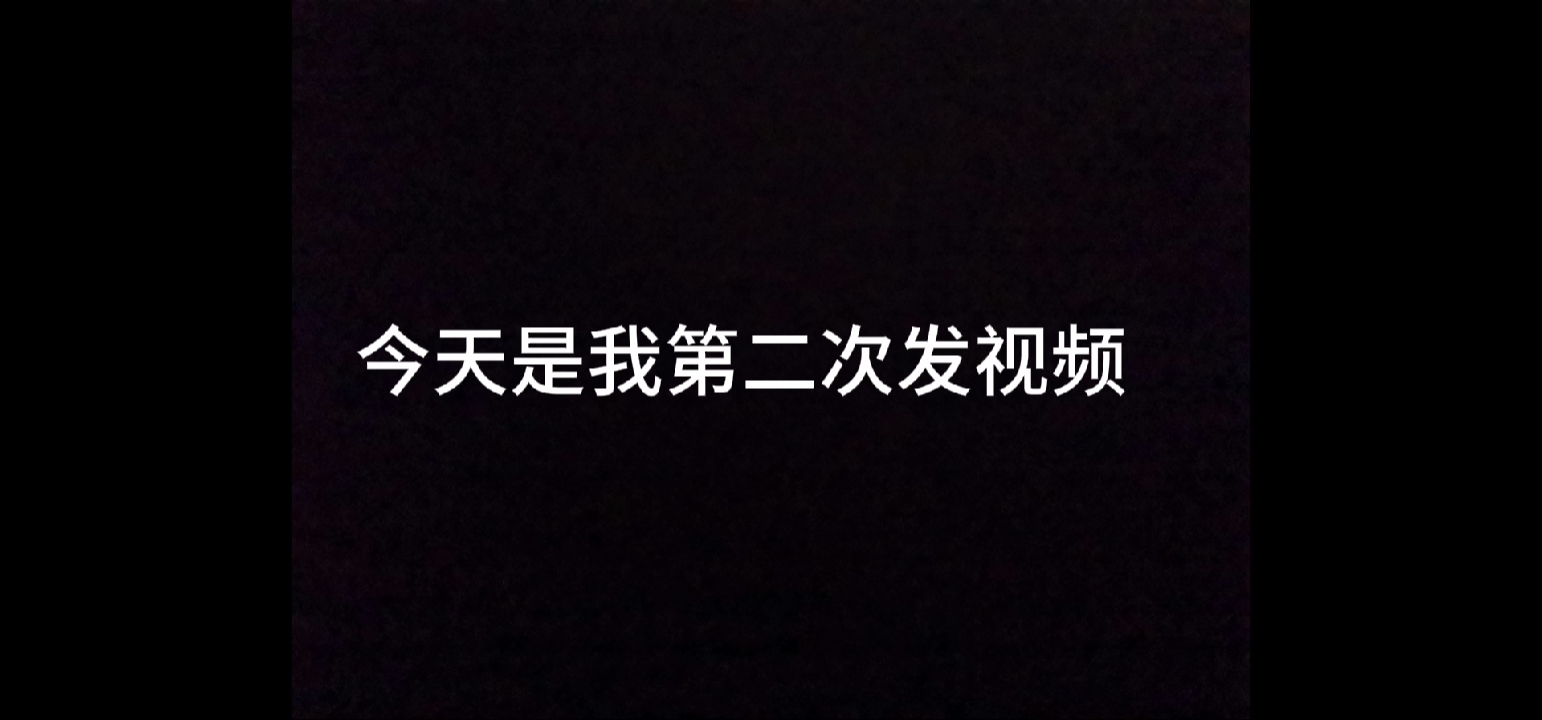 今天是我第二次发视频