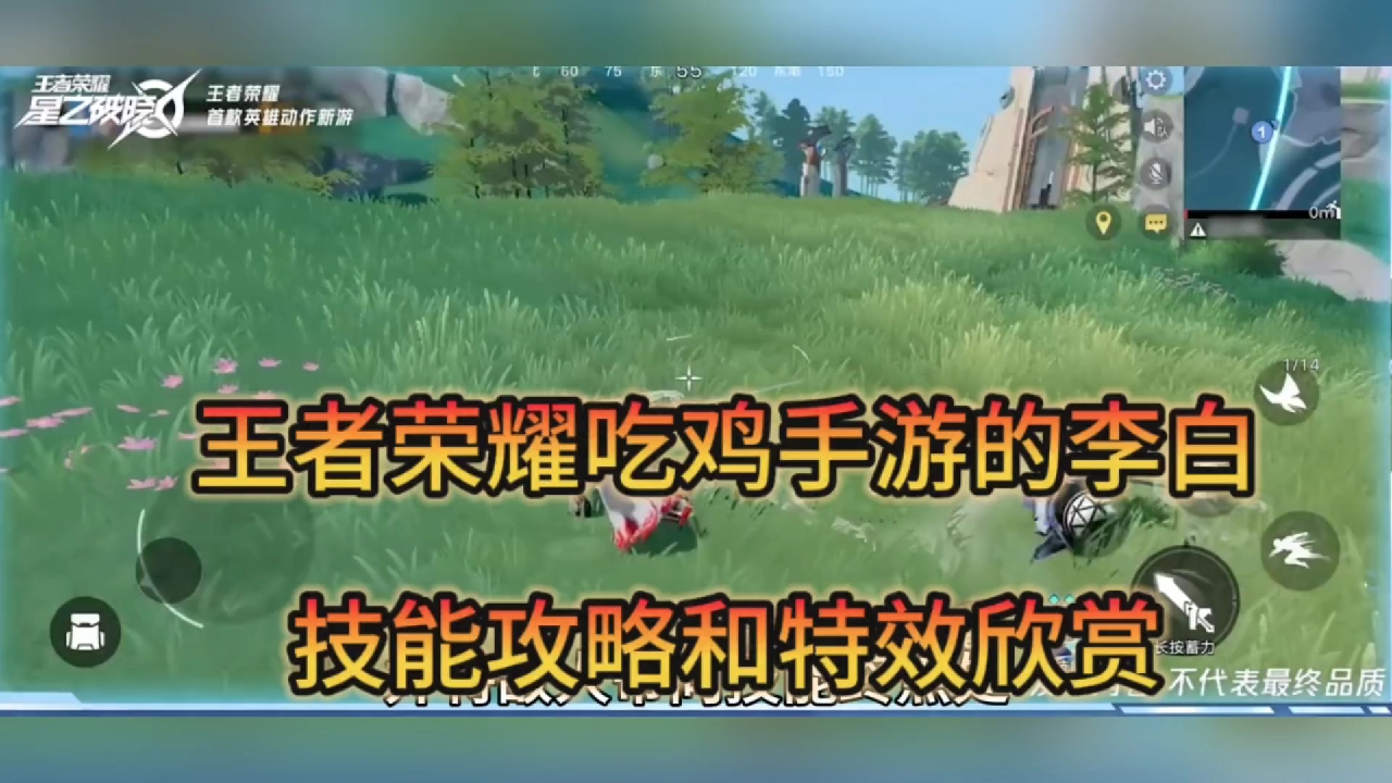 王者荣耀吃鸡手游李白，技能和特效欣赏