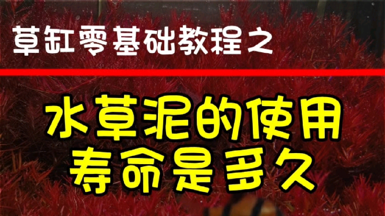 水草泥的使用寿命是多久