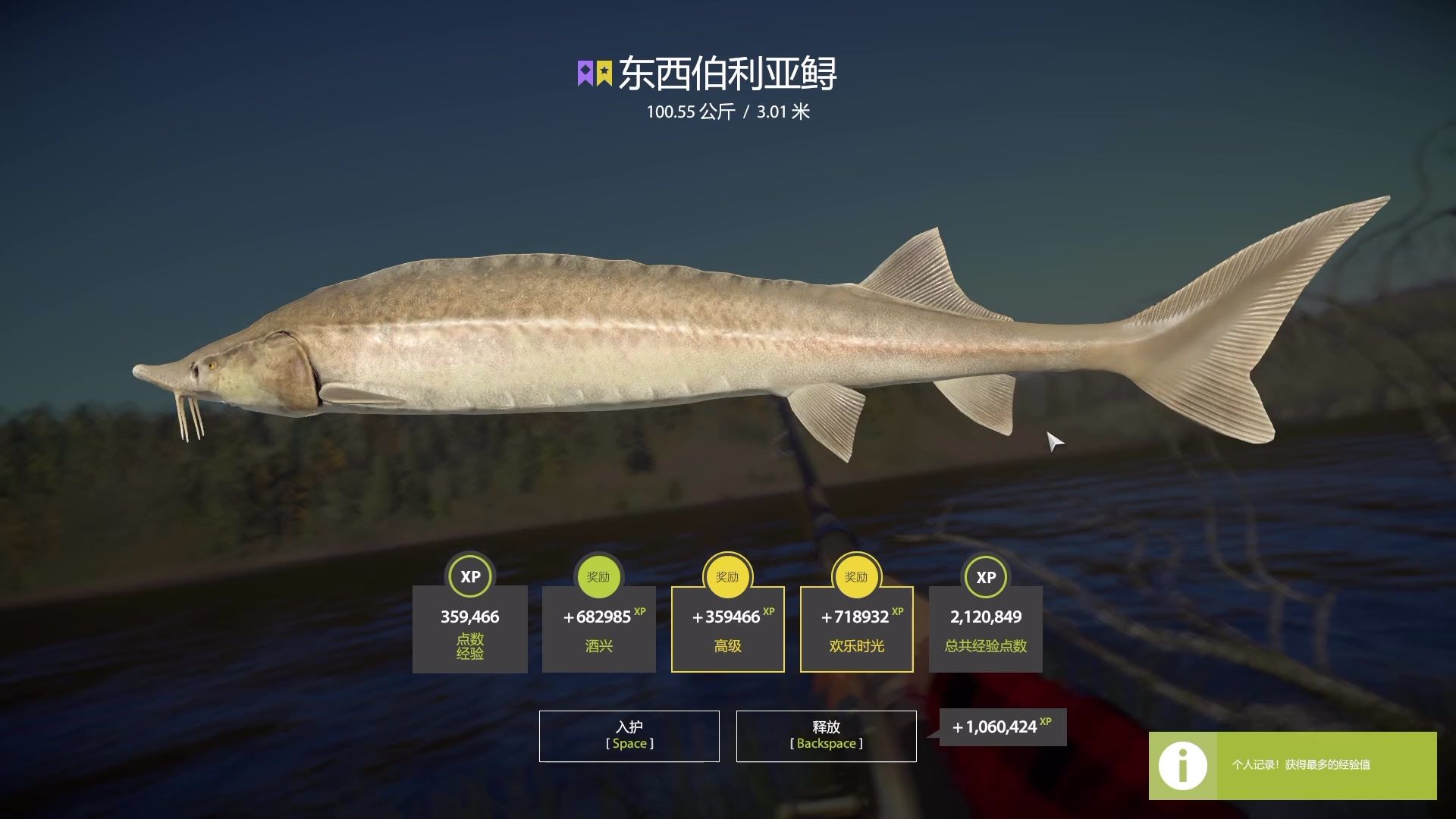 星东子成功上岸