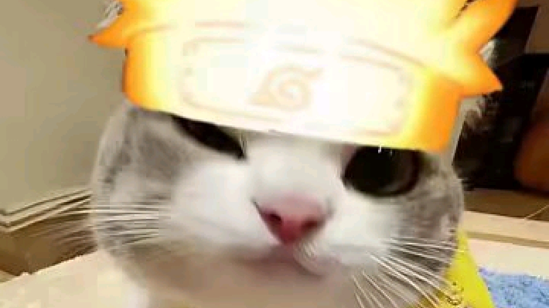 希望可以对大家做忍者决斗有帮助