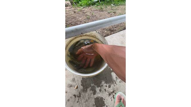 台风江里泄洪边上没水只能在这边钓石斑了