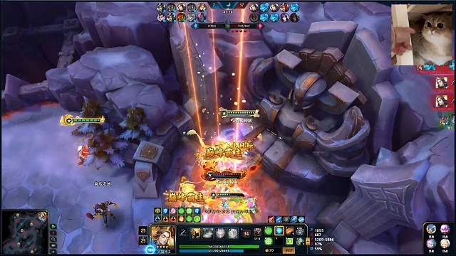 乌龟恶心，没乌龟还行