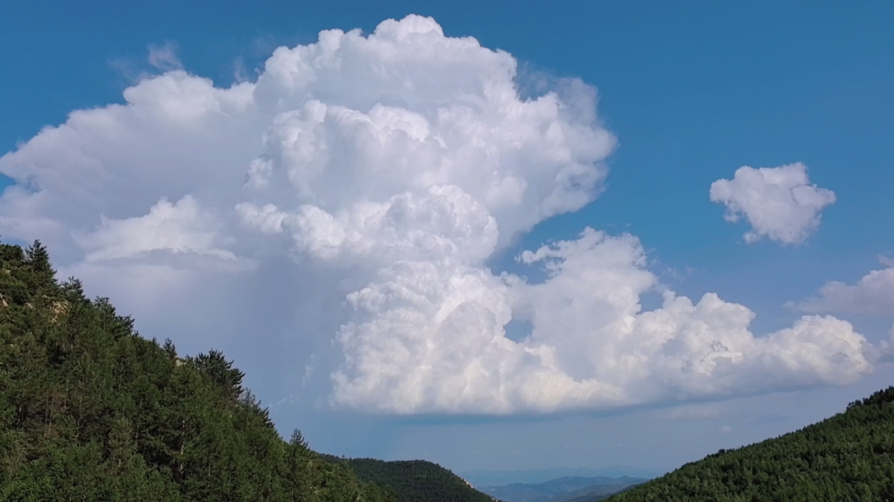 22号下午上山捡蘑菇