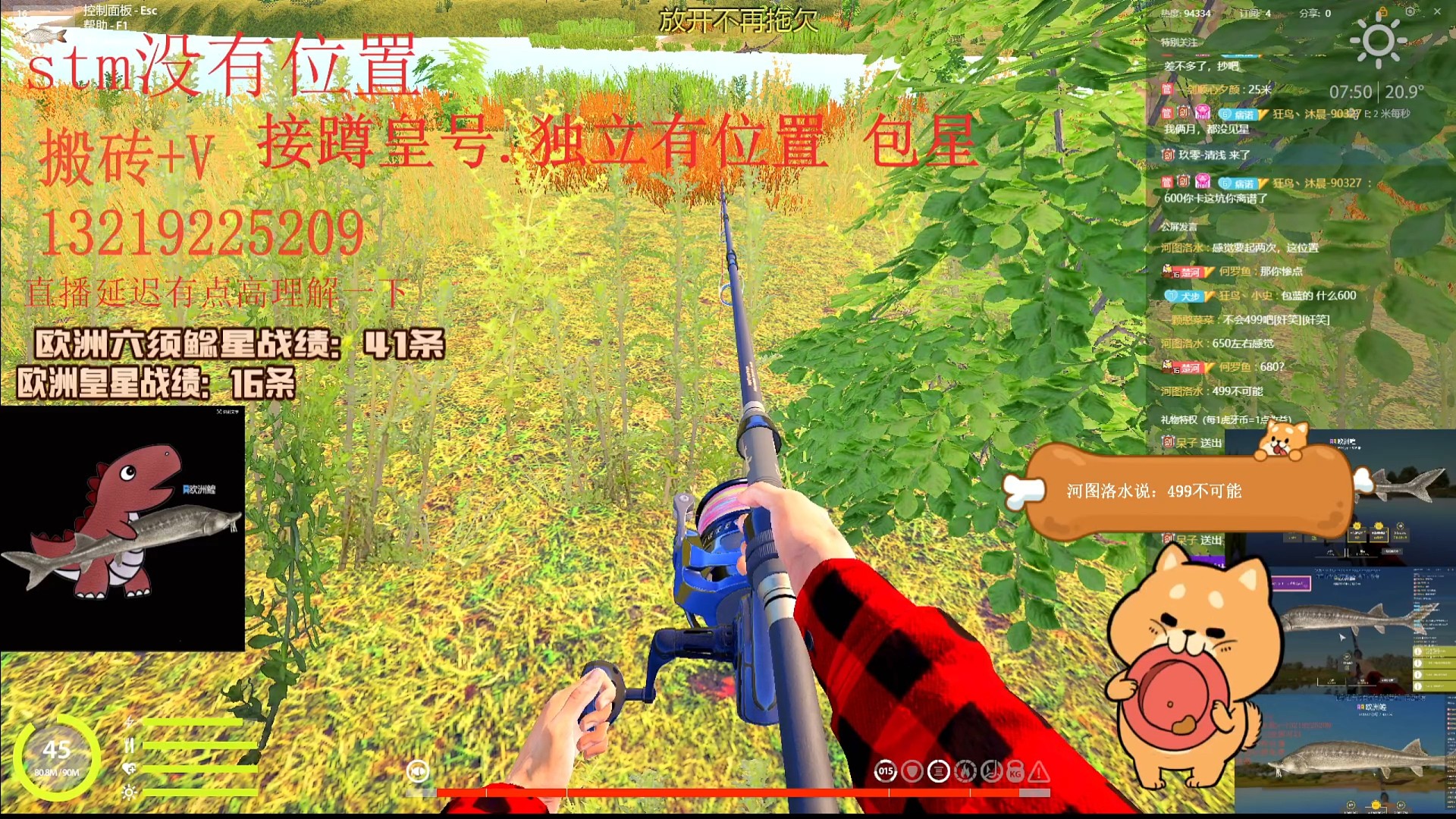 恭喜老板喜提，星欧洲黄