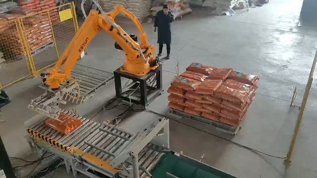 帕斯科-埃斯顿ER60-2000PL堆垛机械臂厂家直售