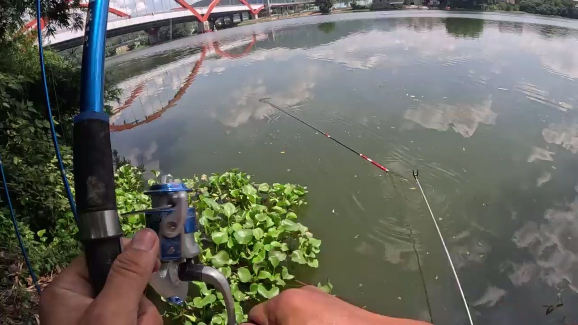 杆子被鱼拖走了 差点回不来