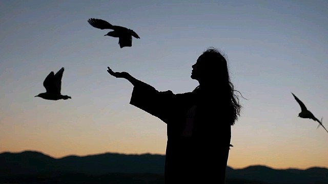 鼠鼠专场，强化电视台