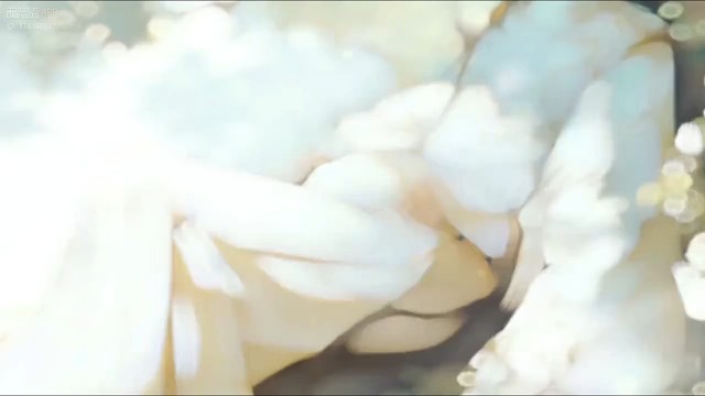 尽加吾身