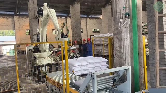 帕斯科-川崎CP500L上下料码包机器人本体源头厂家