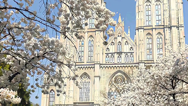 酒吧里找白月光，你疯了吧？