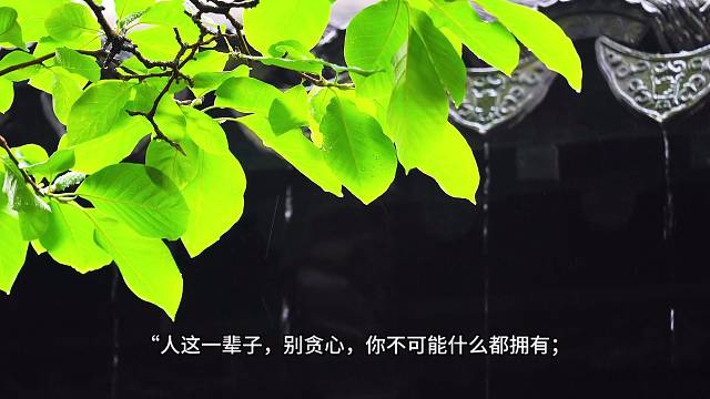 人这一辈子，别贪心，你不可能什么都拥有