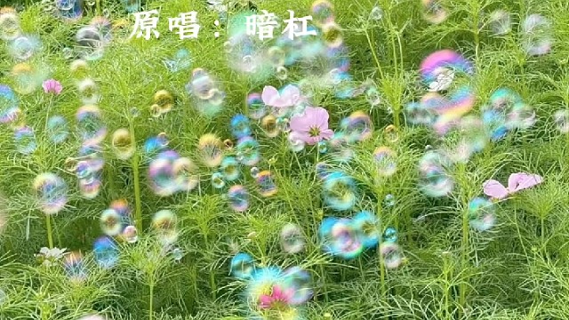 童话都是美好的，你也是