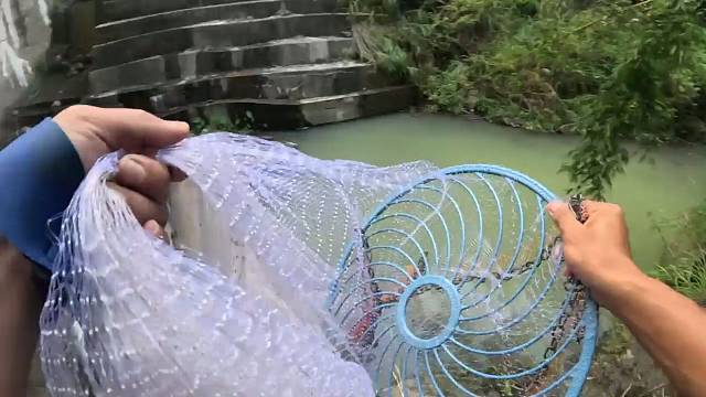 有鲈鱼有螃蟹又有罗非