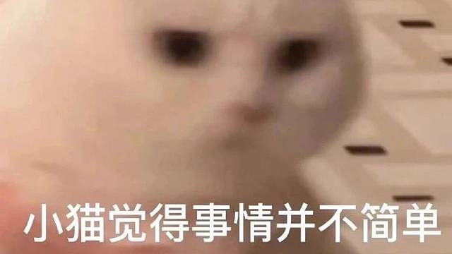 脑子好痒！