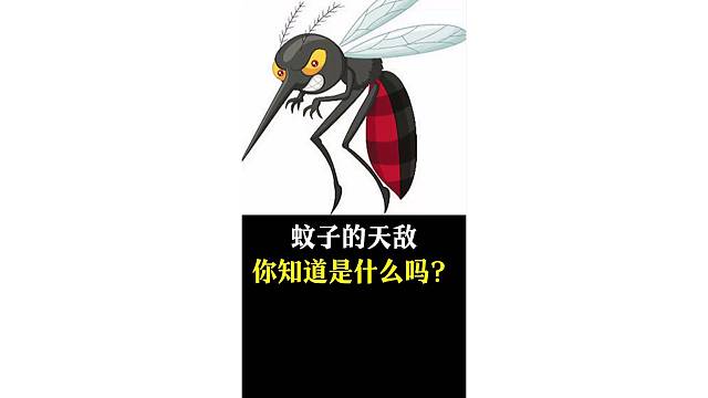 蚊子的天敌你知道是什么吗？